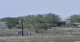 Single Family 3BR 2BA - 1361 C RD, Sutherland Springs, TX