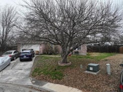 Single Family 3BR 2BA - 190 CASPER CV, Kyle, TX