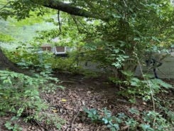 Single Family 3BR 2BA - 3 S And T Spirit Dr, Candler, NC