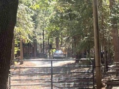 Single Family 3BR 2BA - 30889 BAMBI DR, Shingletown, CA