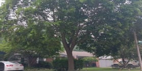 Single Family 3BR 2BA - 5656 WILLOWBROOK DR, Saginaw, MI