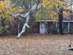 Single Family 4BR 2BA - 725 CENTRAL AVE, Franklinville, NJ