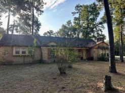 Single Family 4BR 3BA - 26902 MAPLEWOOD DR, Spring, TX
