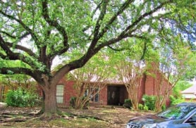 Single Family 4BR 3BA - 7020 NICKI ST, Dallas, TX