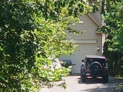 Single Family 5BR 4BA - 5743 WALCOTT AVE, Fairfax, VA